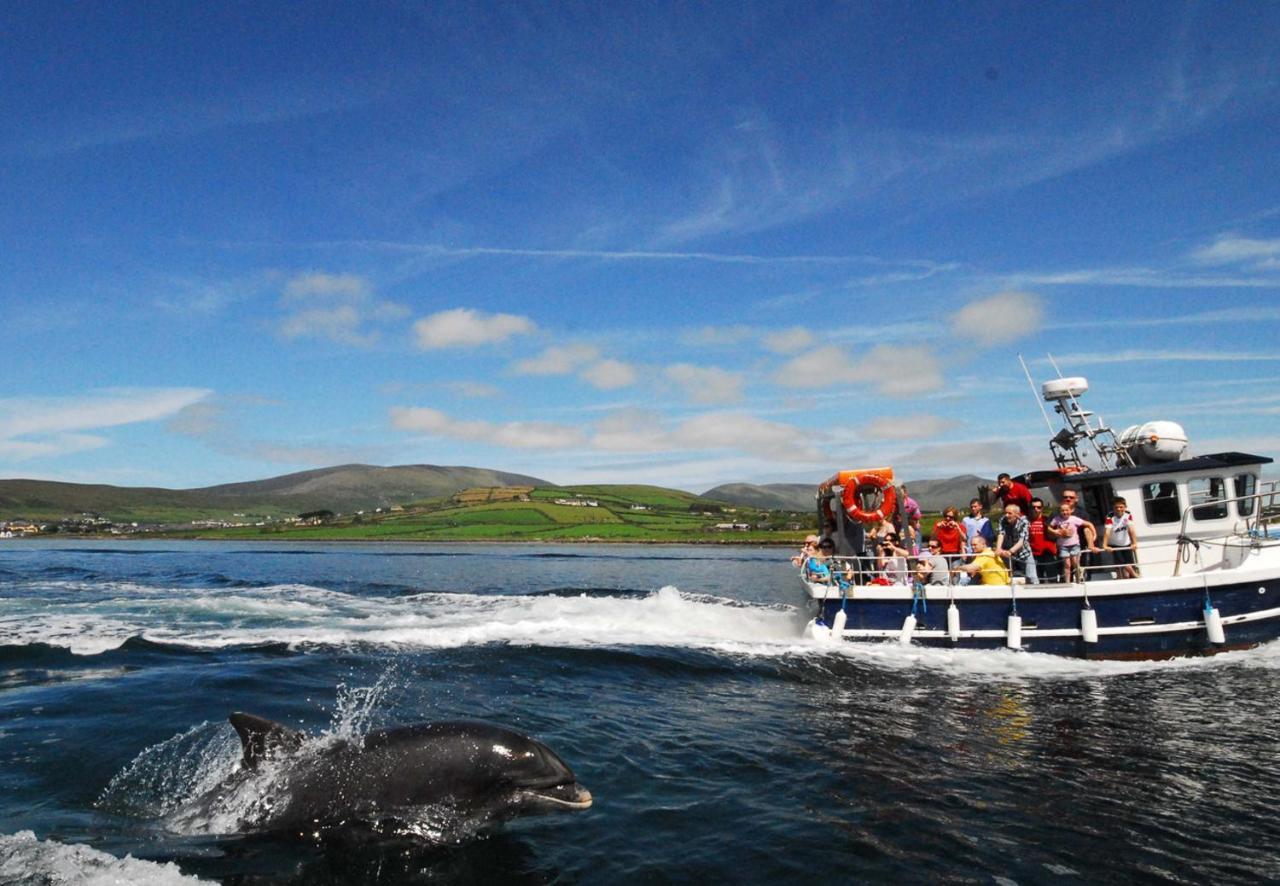 Dingle Harbour Cottages 3 Bed Sleeps 7 By Trident Holiday Homes מראה חיצוני תמונה